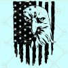 Eagle through flag