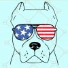 July 4th pitbull svg