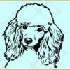 Poodle dog svg