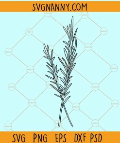 Rosemary spring clipart svg