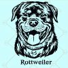 Rottweiler svg