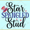 Star spangled stud svg